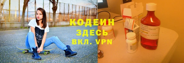 ECSTASY Богданович