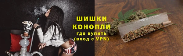 ECSTASY Богданович