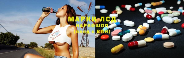 ECSTASY Богданович