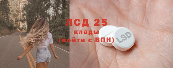 ECSTASY Богданович