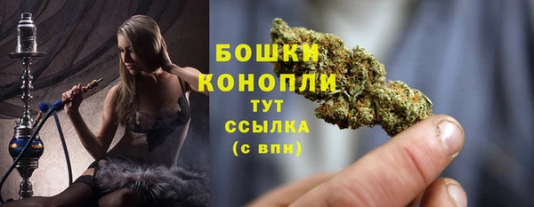 ECSTASY Богданович
