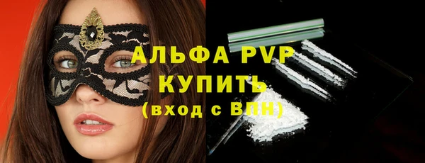 ECSTASY Богданович