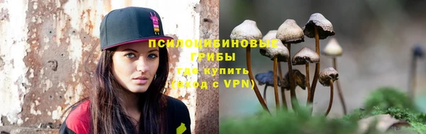 ECSTASY Богданович