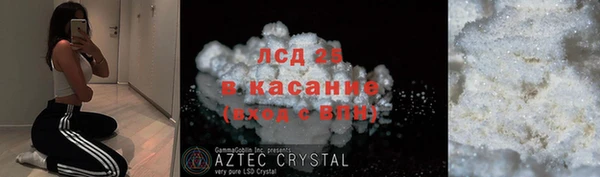 ECSTASY Богданович