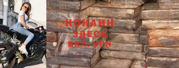 ECSTASY Богданович