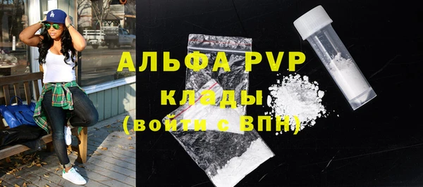 ECSTASY Богданович