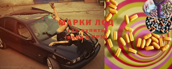 шишки Беломорск