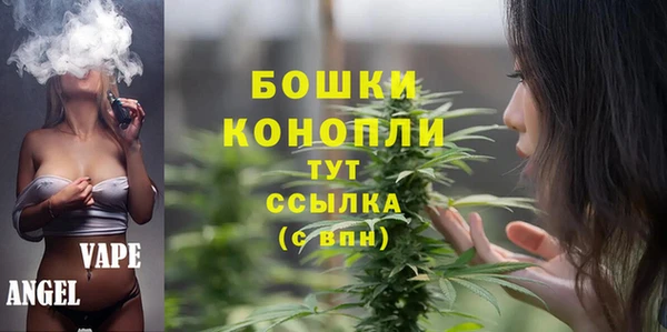 СК Богородск