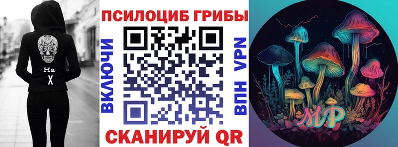 где можно купить наркотик  Каспийск  darknet наркотические препараты  Галлюциногенные грибы GOLDEN TEACHER 